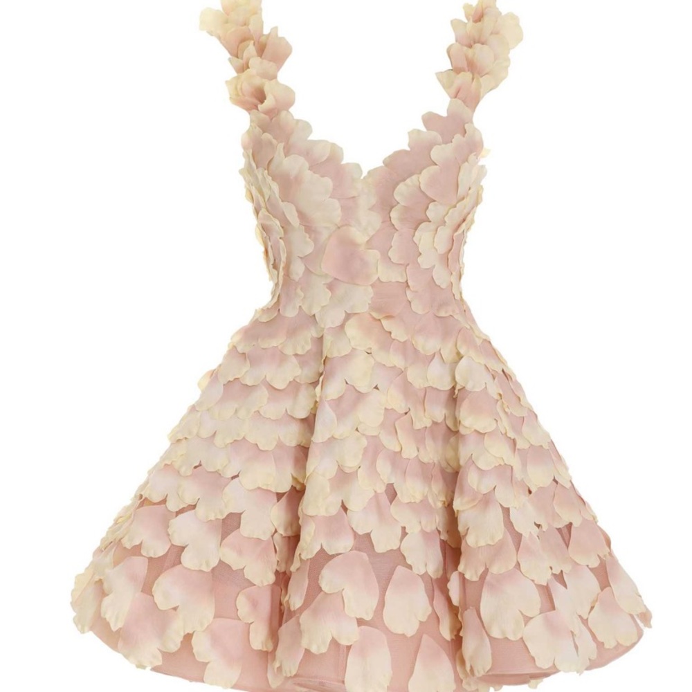 NWT Zimmermann Mini Dress